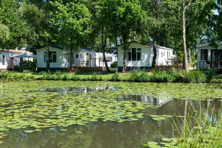 Papillon Kinrooi - Bild 14