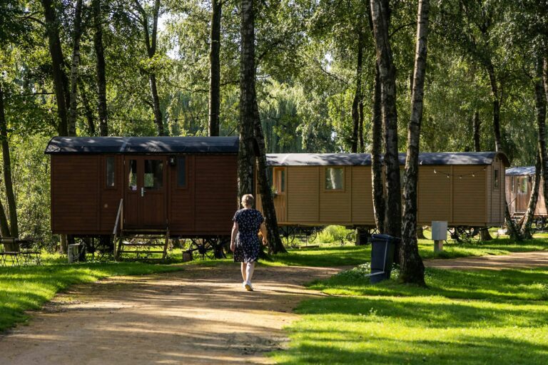 Papillon Kinrooi - Bild 15