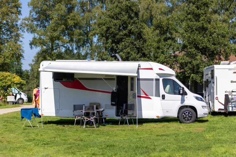 Papillon Kinrooi - Bild 17