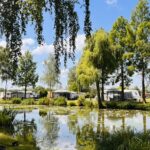 Papillon Kinrooi - Bild 2