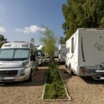 Papillon Kinrooi - Bild 4