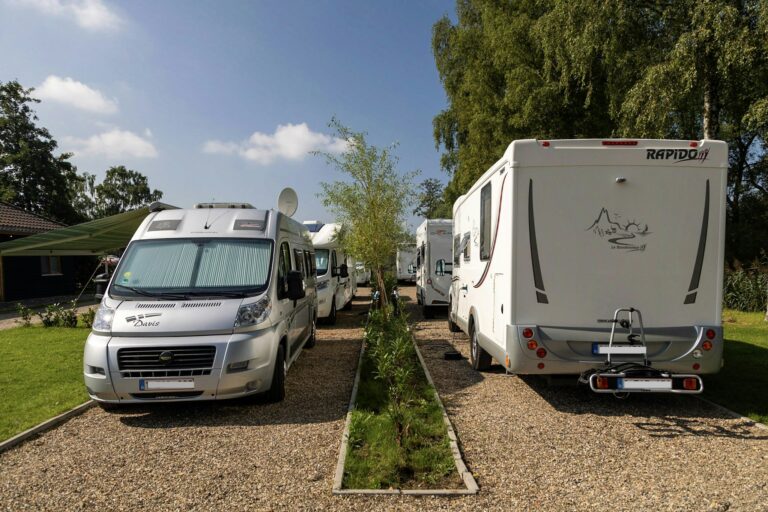 Papillon Kinrooi - Bild 4