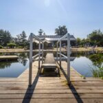 Papillon Kinrooi - Bild 7