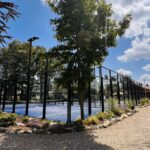 Papillon Kinrooi - Bild 8