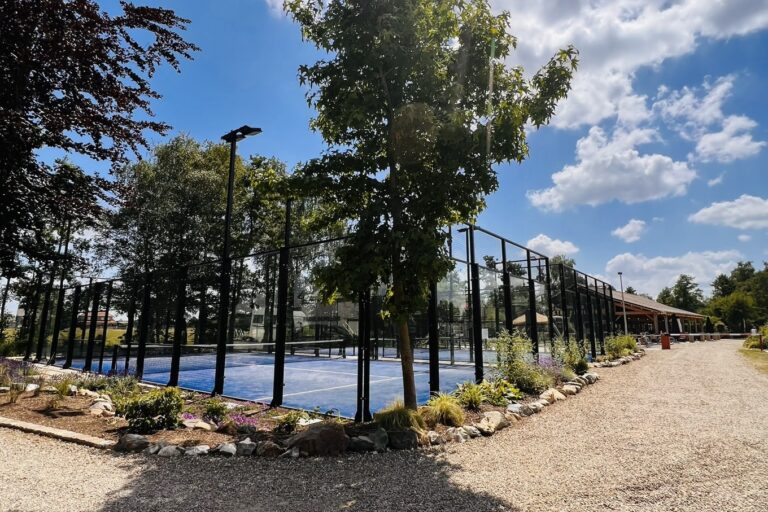 Papillon Kinrooi - Bild 8