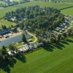 Papillon Kinrooi - Bild 1