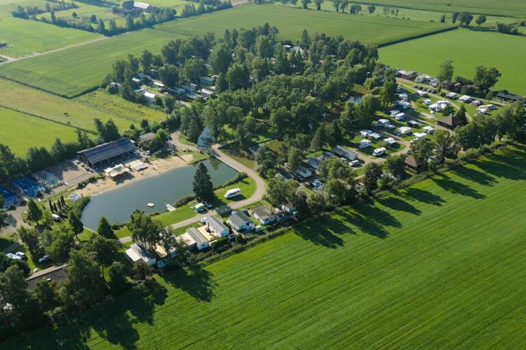 Papillon Kinrooi - Bild 1