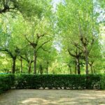 Parco Delle Piscine - Bild 15