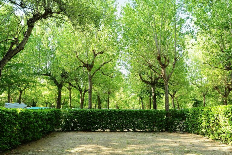 Parco Delle Piscine - Bild 15