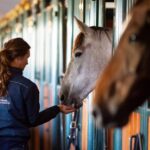 Park Drentheland - Bild 13