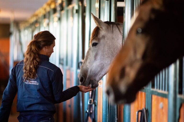 Park Drentheland - Bild 13