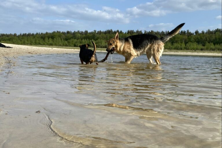 Park Drentheland - Bild 15