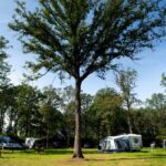 Park Drentheland - Bild 3