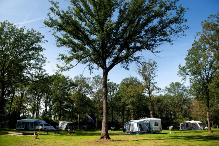 Park Drentheland - Bild 3