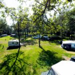 Park Drentheland - Bild 1