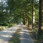 Parkcamping De Graafschap - Bild 12 Parkcamping De Graafschap - Bild 12