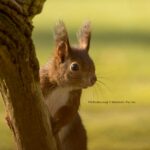 Parkcamping 't Ravenest - Bild 6