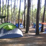 Parque De Campismo São Miguel - Bild 5