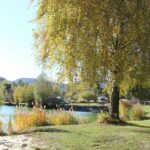 Pielachtal Camping - Bild 5 Pielachtal Camping - Bild 5