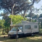 Piomboni Camping Village - Bild 13 Piomboni Camping Village - Bild 13