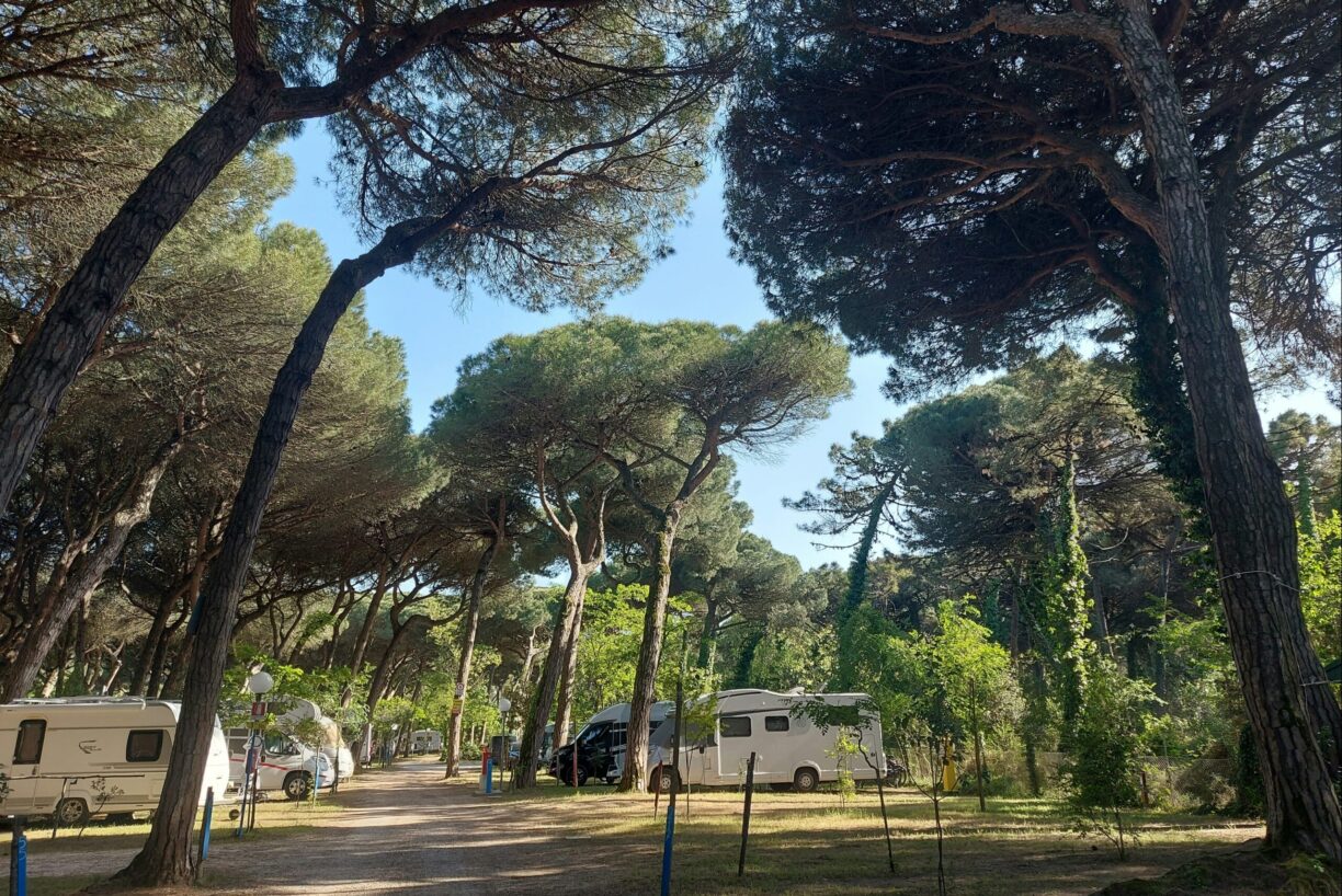 Piomboni Camping Village - Bild 3 Piomboni Camping Village - Bild 3