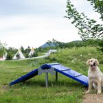 Plitvice Holiday Resort - Bild 20