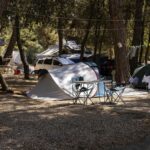 Porton Nature Hideouts - Bild 4