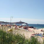 Porton Nature Hideouts - Bild 7