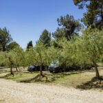 Porton Nature Hideouts - Bild 8