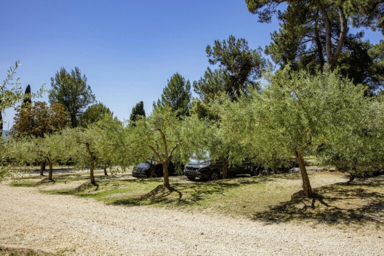 Porton Nature Hideouts - Bild 8