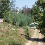 Quinta Do Retiro Parcampismo - Bild 12