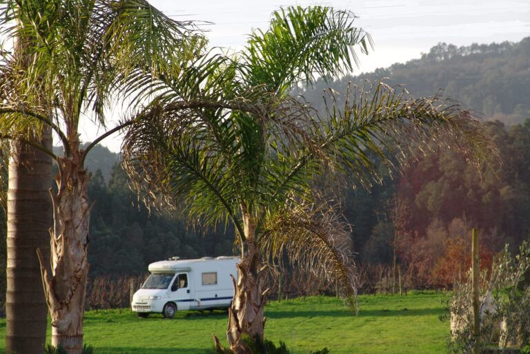 Quinta Santa Marinha - Bild 12