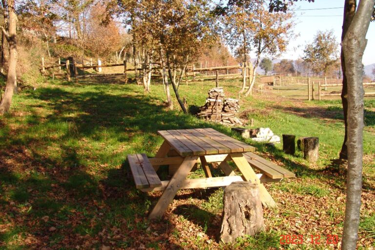 Quinta Santa Marinha - Bild 14