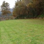 Quinta Santa Marinha - Bild 17