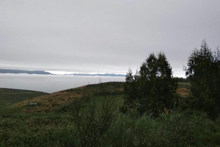 Quinta Santa Marinha - Bild 6