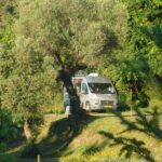 Quinta Santa Marinha - Bild 1