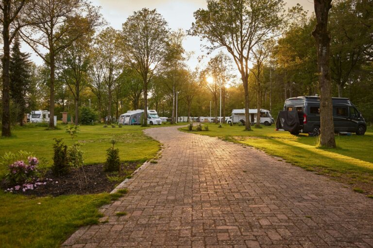 Rcn De Flaasbloem - Bild 12 Rcn De Flaasbloem - Bild 12