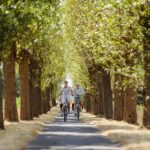 Rcn De Flaasbloem - Bild 14 Rcn De Flaasbloem - Bild 14