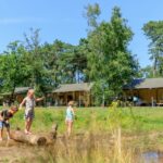 Rcn De Flaasbloem - Bild 3 Rcn De Flaasbloem - Bild 3