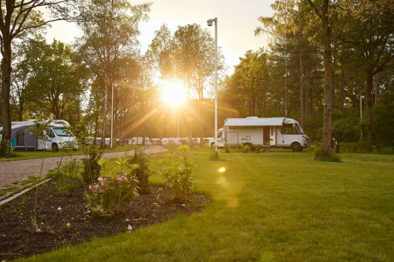 Rcn De Flaasbloem - Bild 6 Rcn De Flaasbloem - Bild 6