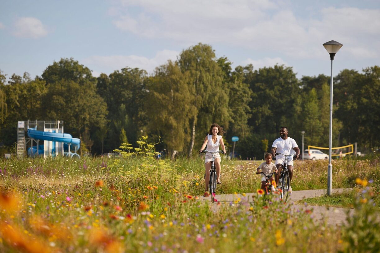 Rcn De Flaasbloem - Bild 7 Rcn De Flaasbloem - Bild 7