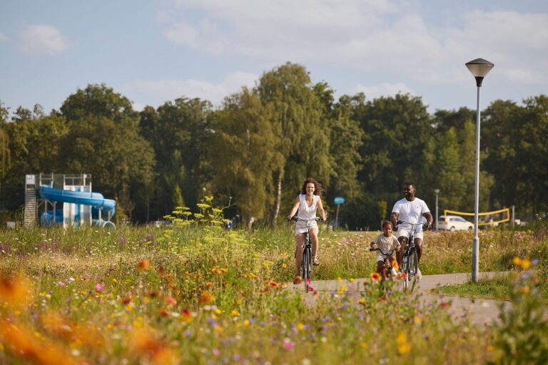 Rcn De Flaasbloem - Bild 7 Rcn De Flaasbloem - Bild 7