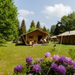 Rcn De Roggeberg - Bild 2