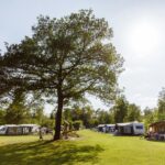 Rcn De Roggeberg - Bild 3