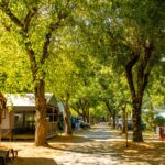 Rcn La Bastide En Ardèche - Bild 12