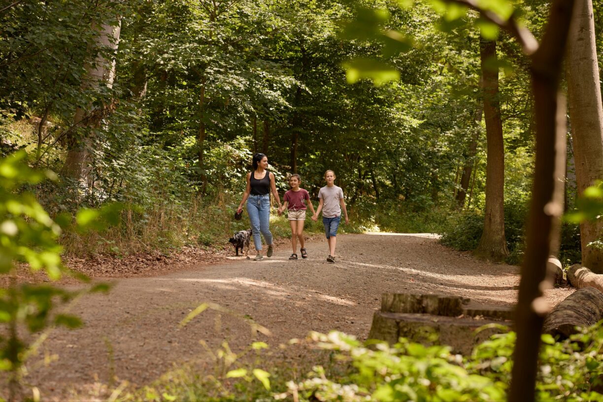 Rcn Laacher See - Bild 13 Rcn Laacher See - Bild 13