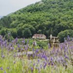 Rcn Le Moulin De La Pique - Bild 6