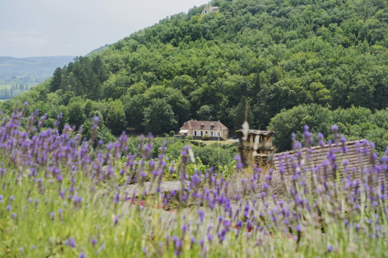 Rcn Le Moulin De La Pique - Bild 6