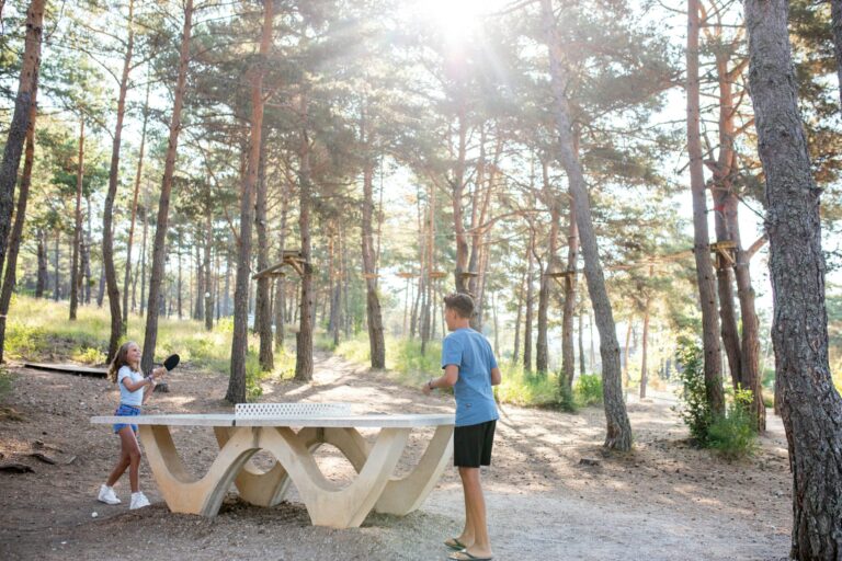 Rcn Les Collines De Castellane - Bild 19