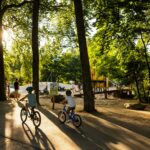 Rcn Vakantiepark Het Grote Bos - Bild 12